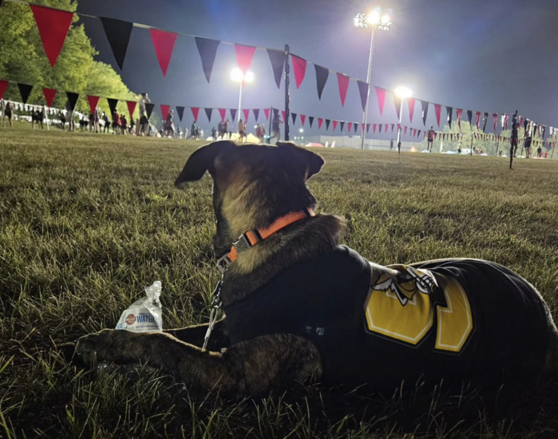 Home The Solanco School District